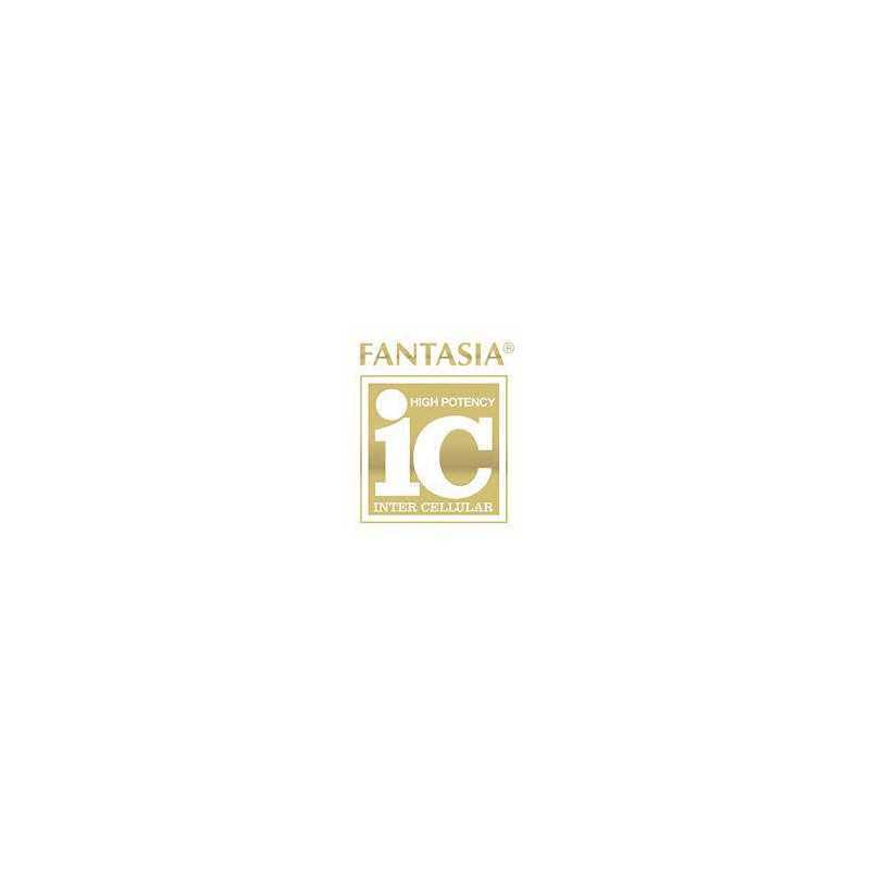 Fantasia IC